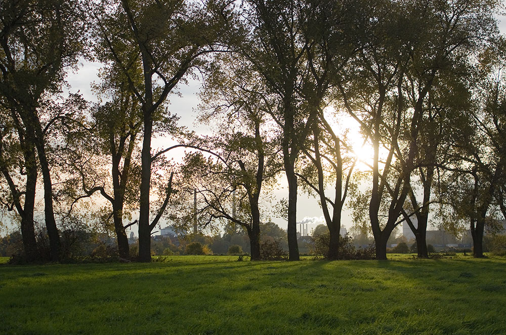 Niederrheinische Landschaft