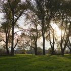 Niederrheinische Landschaft