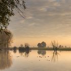 Niederrheinische Landschaft