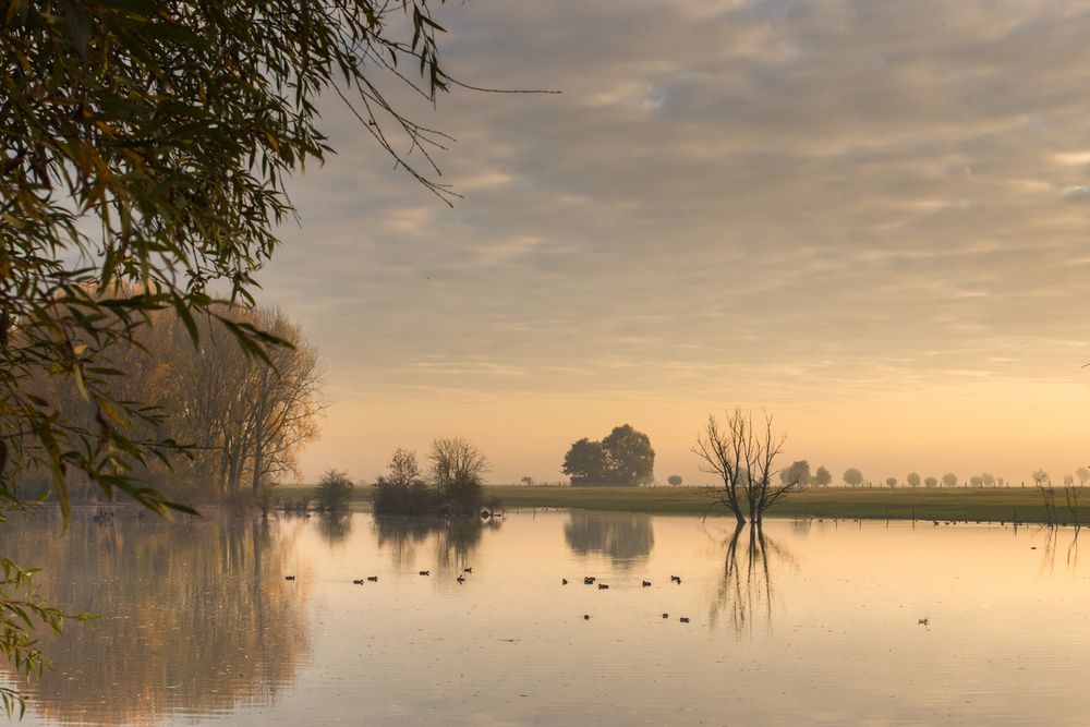 Niederrheinische Landschaft