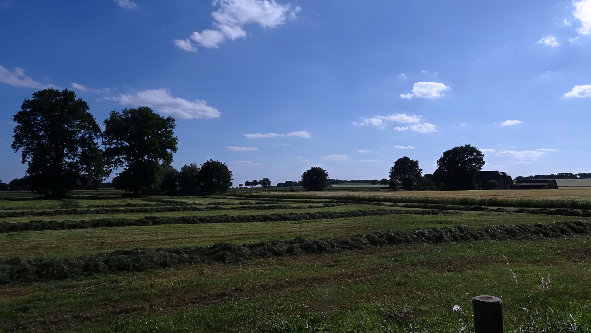 Niederrheinische Landschaft 