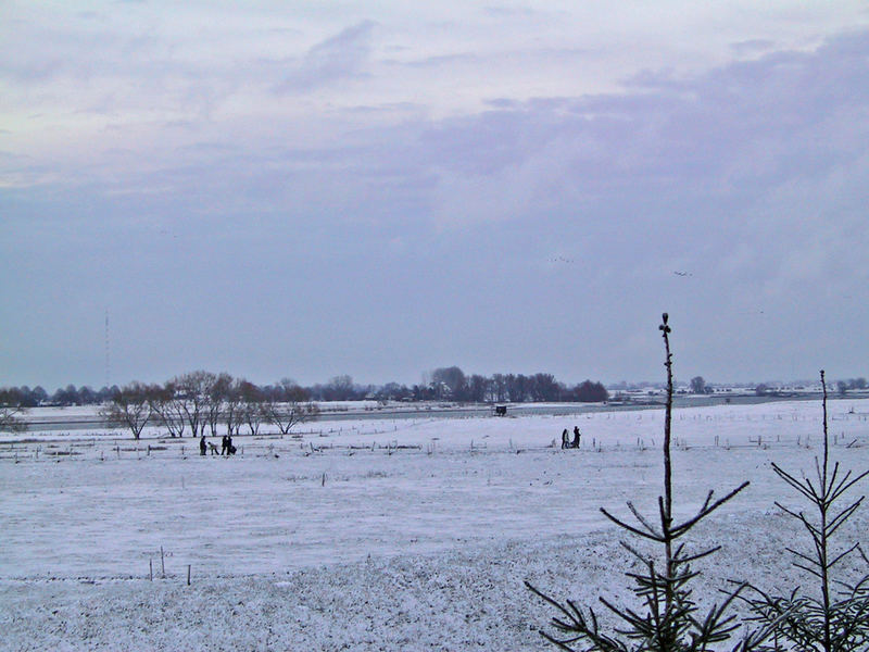 Niederrheinische Landschaft im Winter