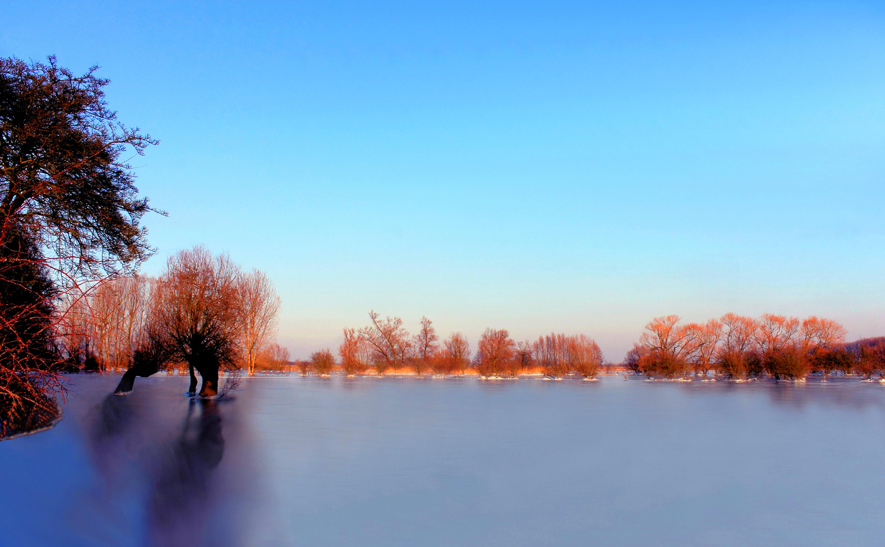 Niederrheinische Winterlandschaft 2