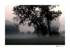 Niederrheinischer Herbst