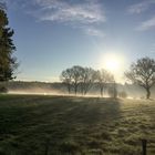 Niederrheinischer Sonnenaufgang