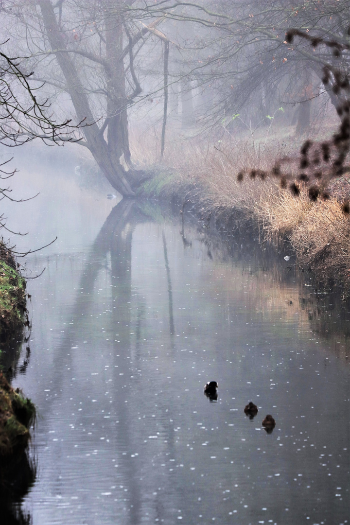 Niederrheinischer Winter 