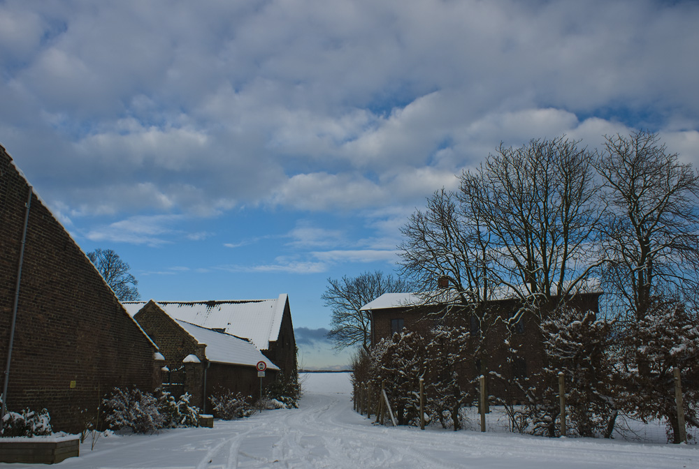 niederrheinischer Winter (!) I