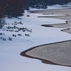 niederrheinischer Winter III