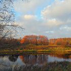 Niederrheinlandschaft