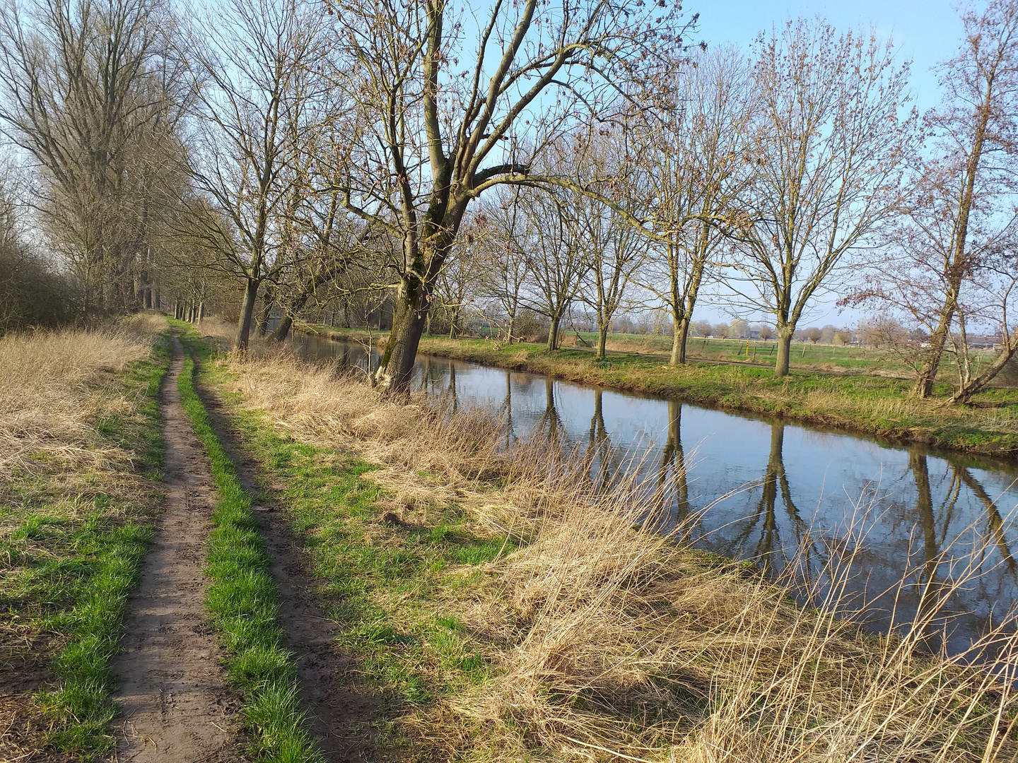 Niederrheinlandschaft