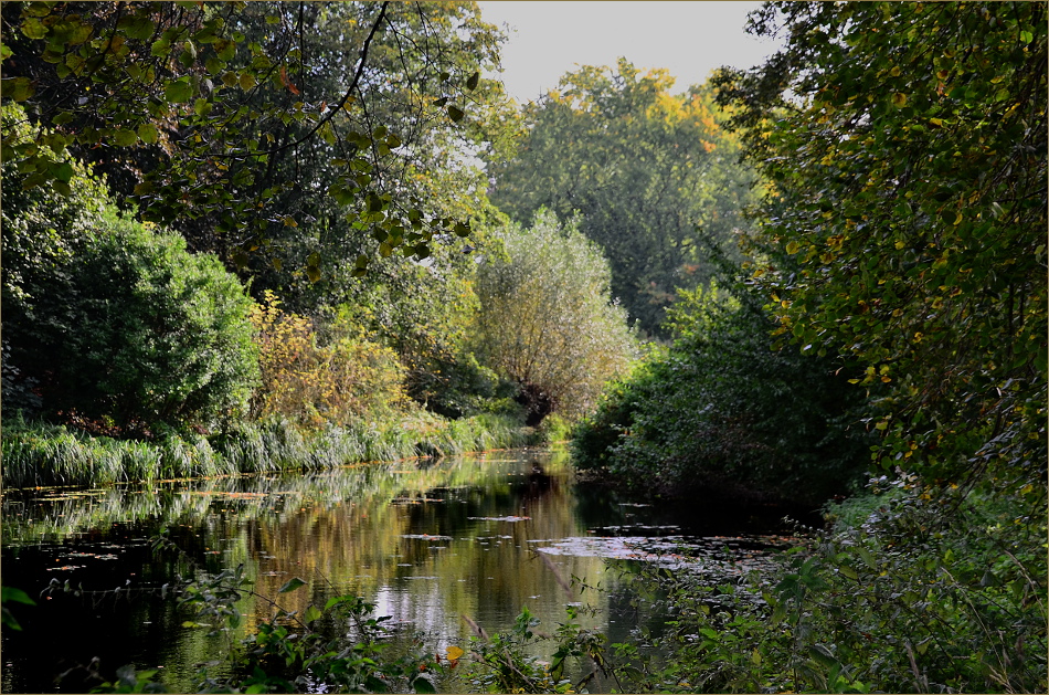 Niederrheinlandschaft nahe der Burg Linn, Krefeld