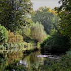 Niederrheinlandschaft nahe der Burg Linn, Krefeld