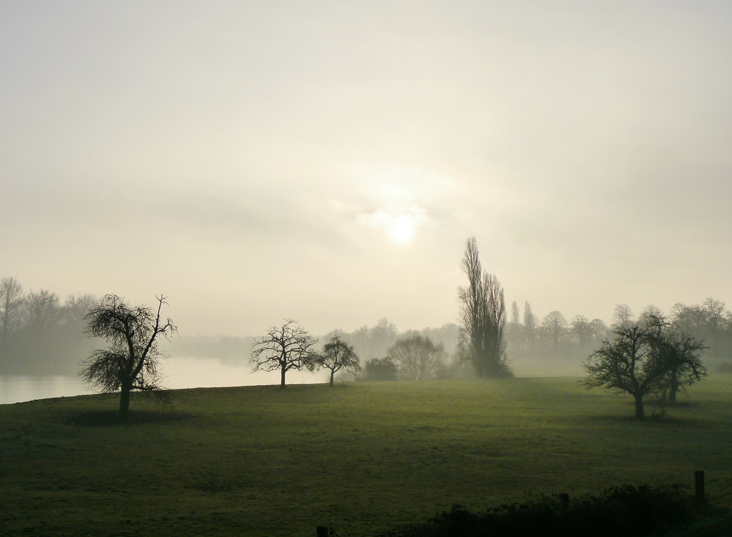 Niederrheinnebel