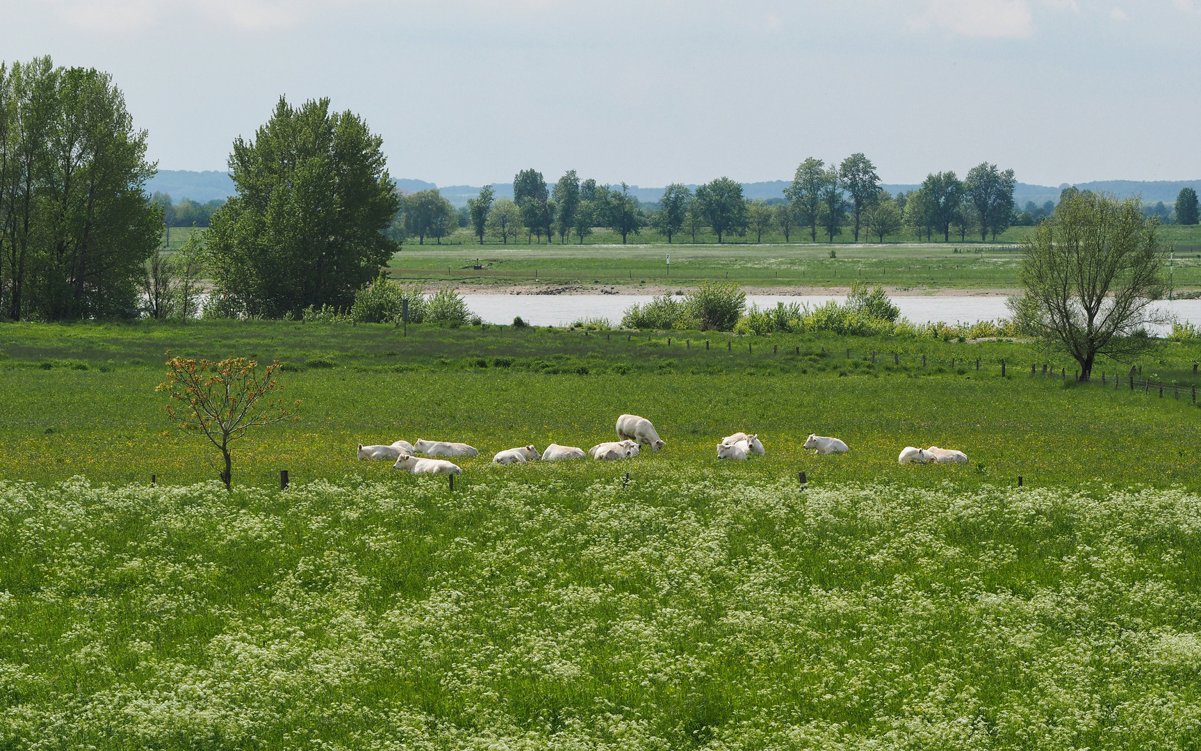 Niederrheinromantik