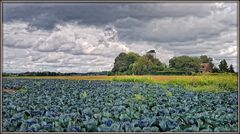 Niederrheinwolken