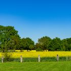 Niedersachsen im Frühling