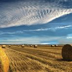 Niedersachsen im Sommer...