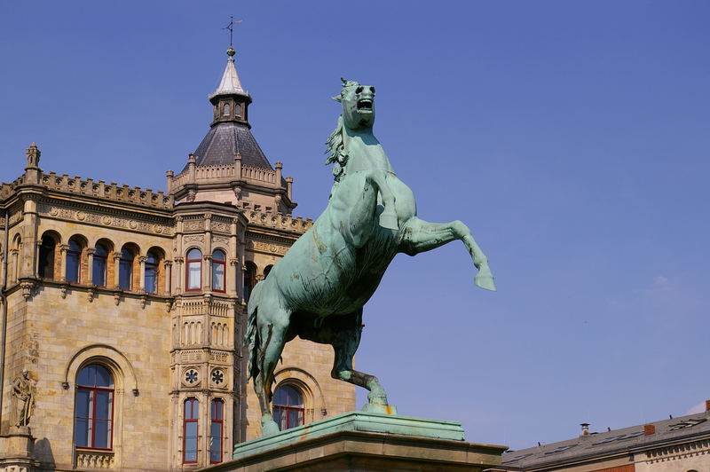 Niedersachsenpferd vor der Uni-Hannover