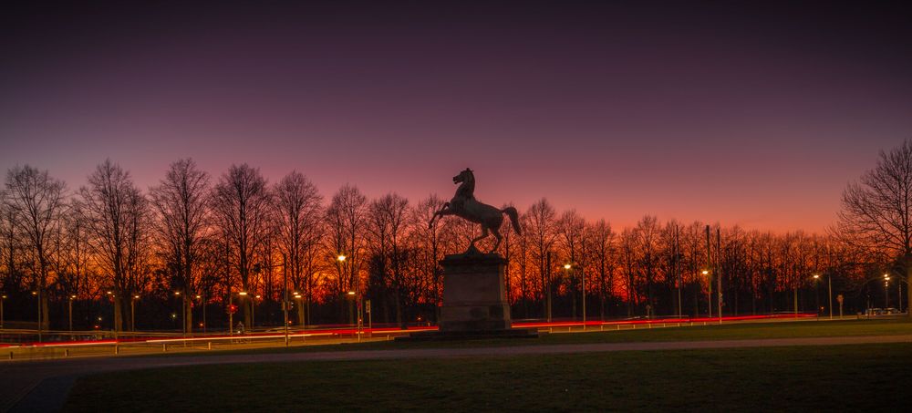 Niedersachsenross vor dem Welfenschloss in Hannover