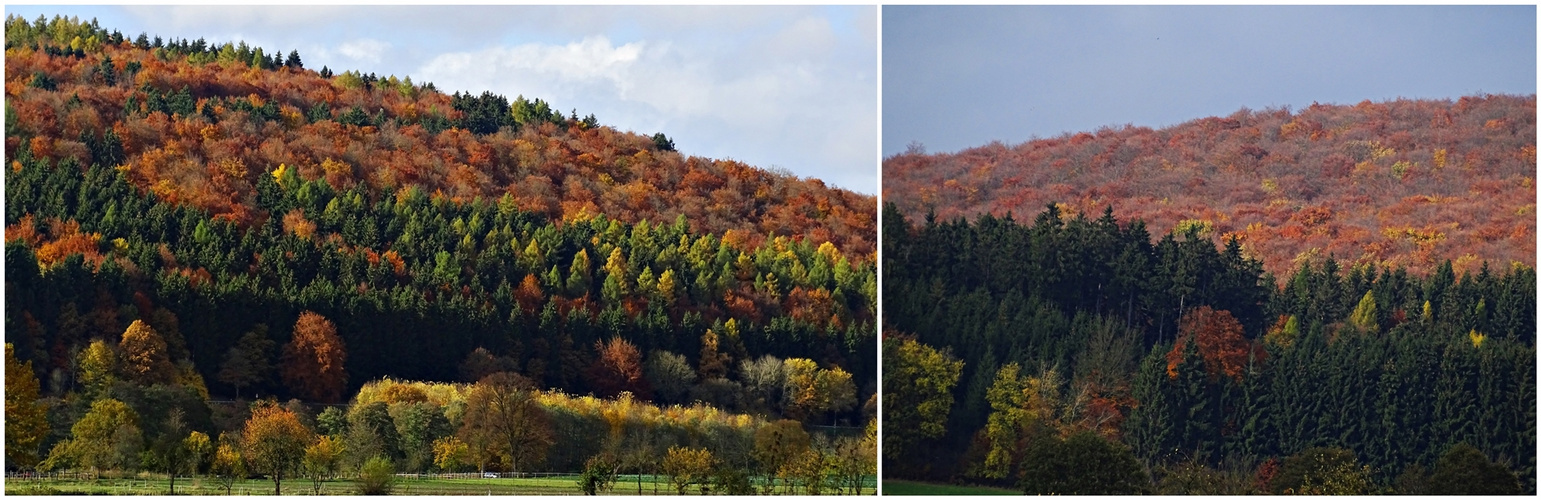 Niedersachsens wilder Süden 