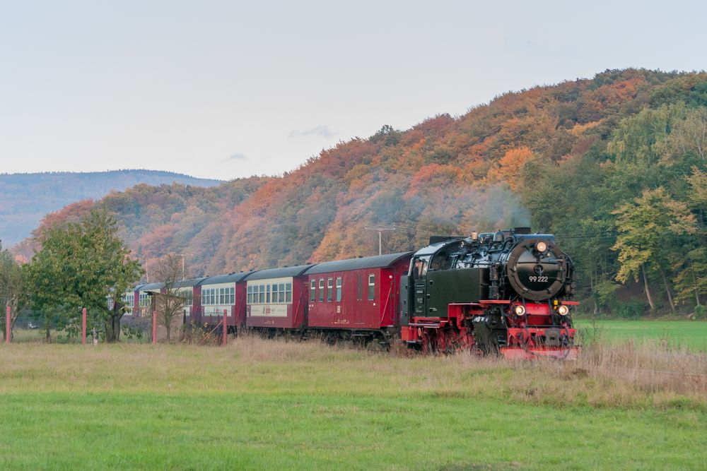 Niedersachswerfen, 99 222