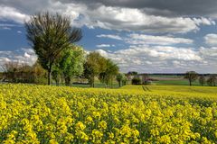 Niedersächsische Agrarlandschaft