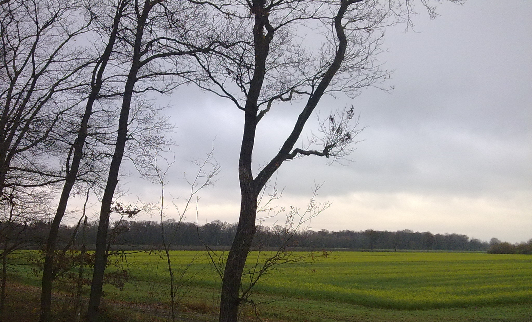 Niedersächsisches Herbstwetter