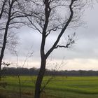 Niedersächsisches Herbstwetter