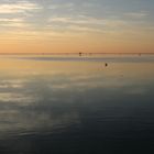 Niedersächsisches Wattenmeer - UNESCO Weltnaturerbe