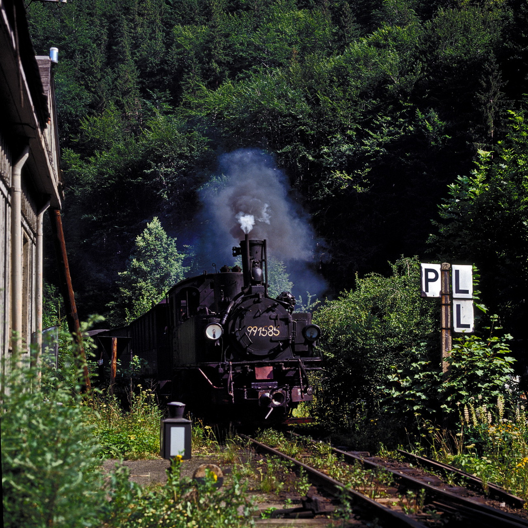 Niederschmiedeberg 1983