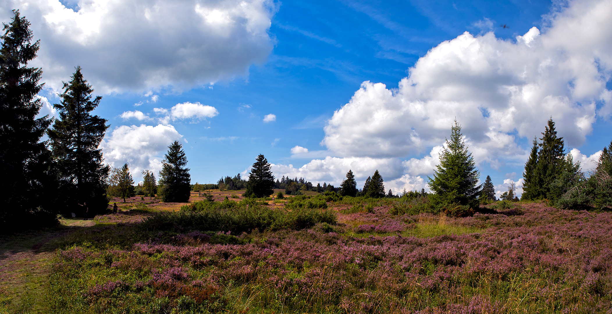 Niedersfelder Hochheide 026