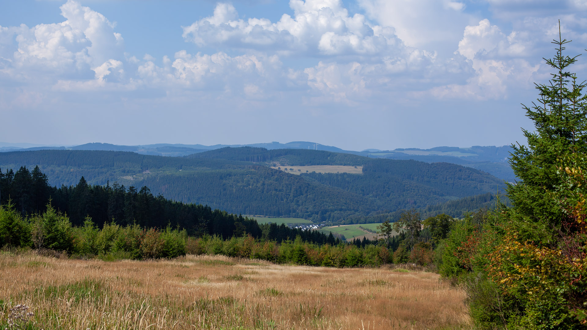 Niedersfelder Hochheide