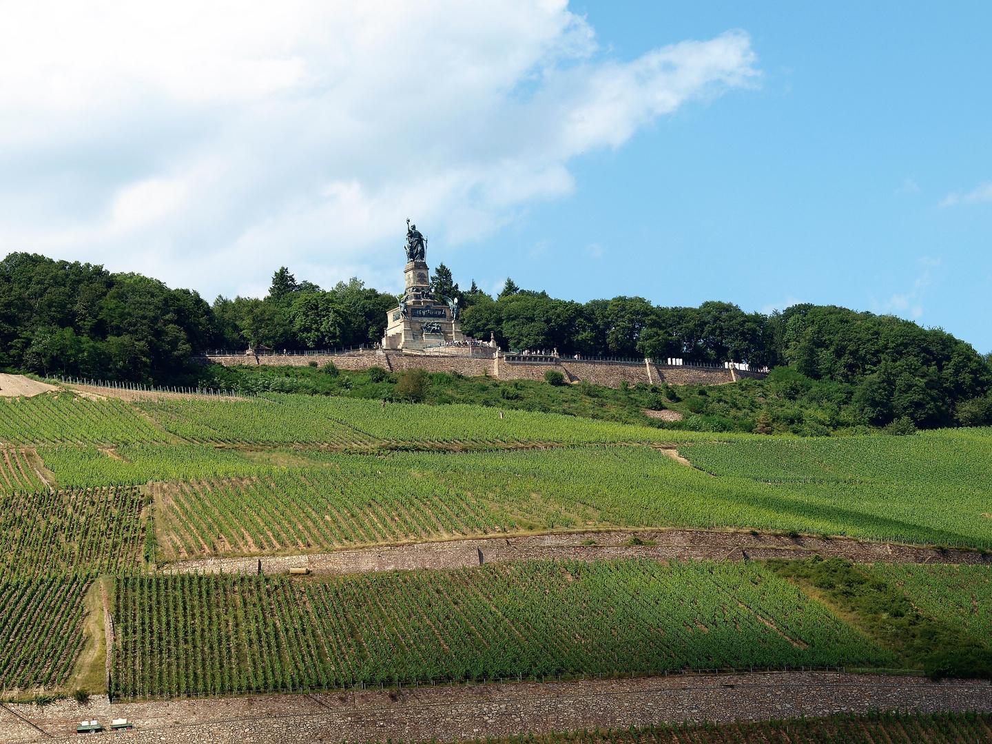 Niederwalddenkmal 2