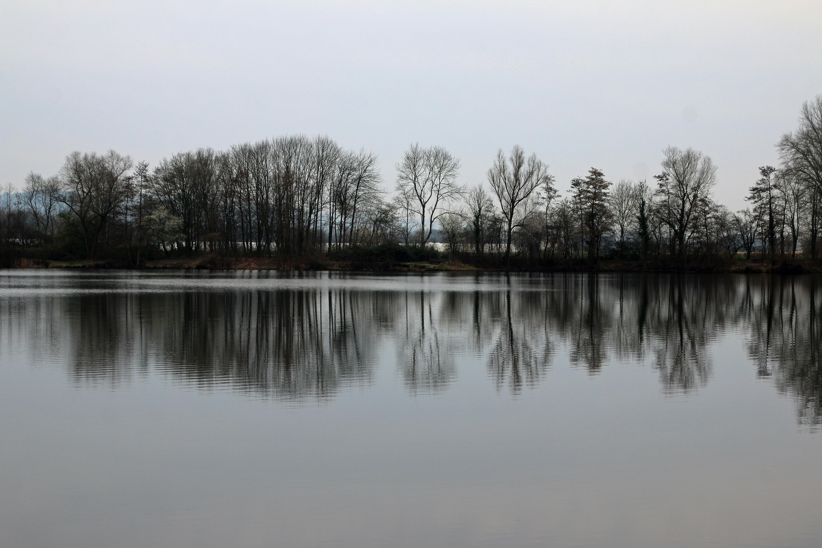 Niederwaldsee