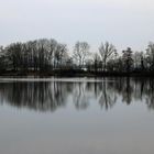 Niederwaldsee