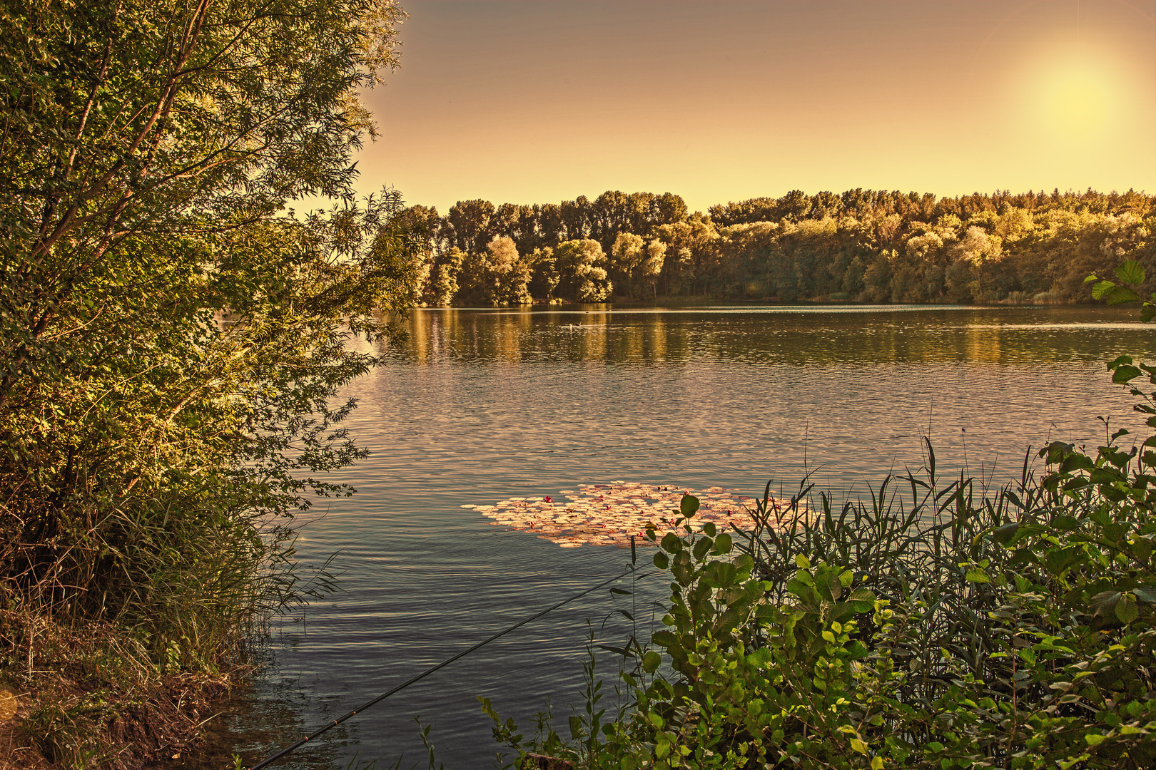 Niederwaldsee