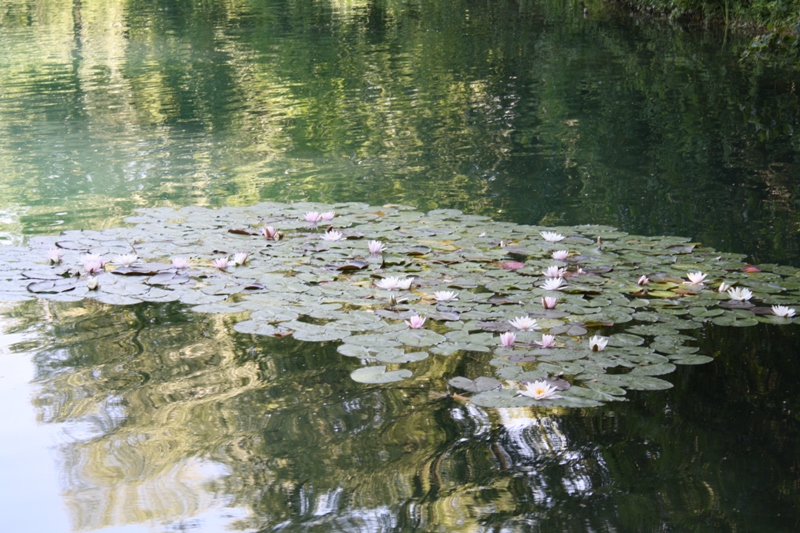 niederwaldsee