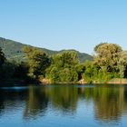 Niederwaldsee bei Zwingenberg 2017