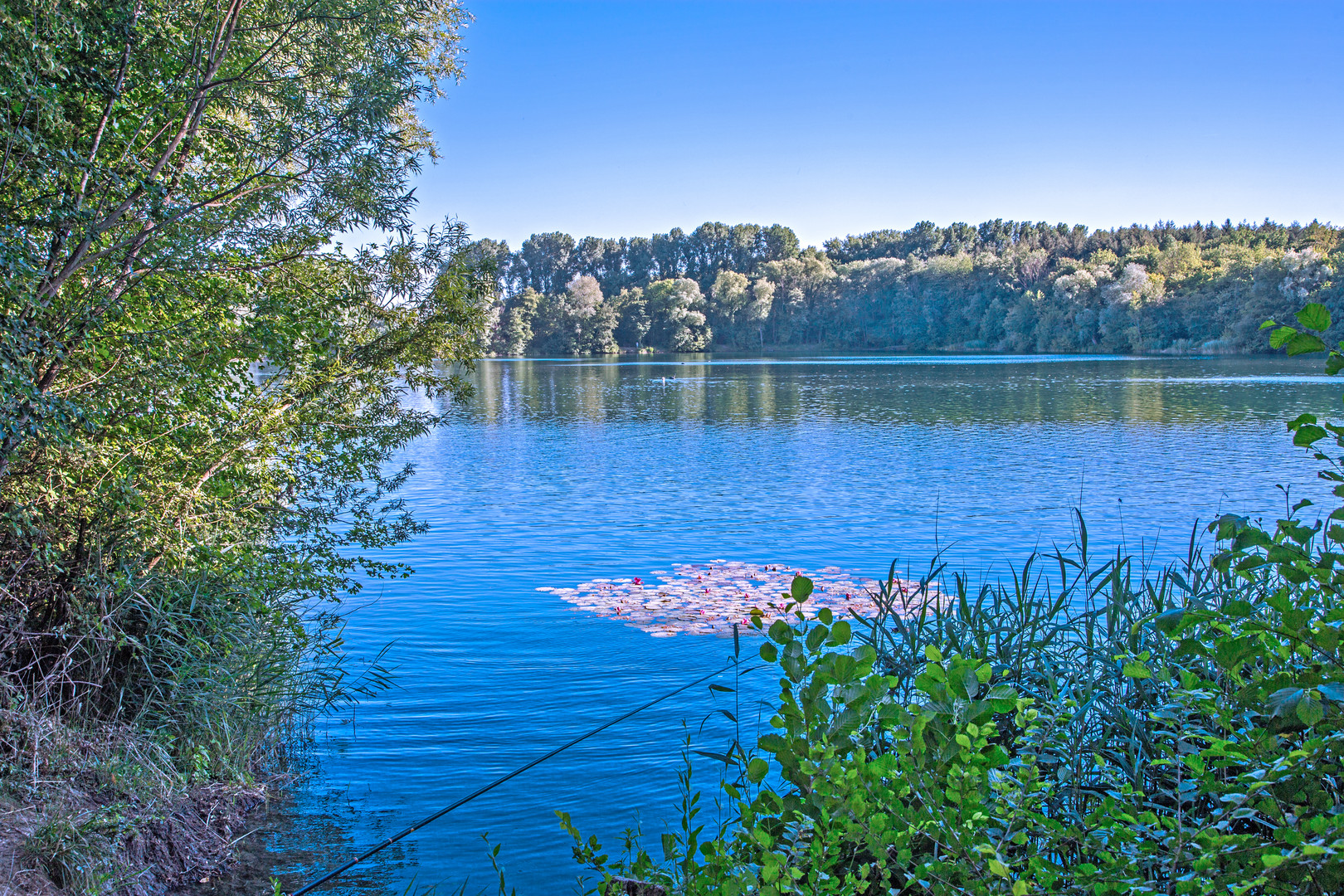 Niederwaldsee II