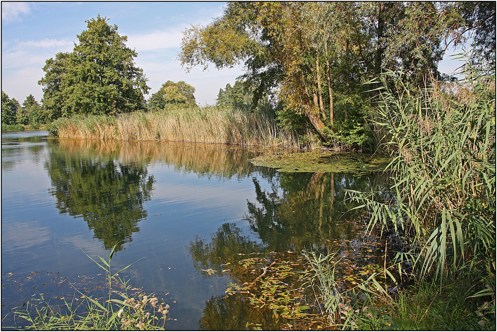 Niederwiesenweiher