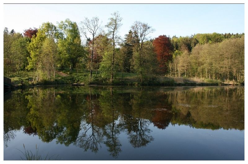 Niederwürzbacher Weiher 01