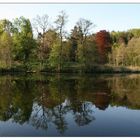 Niederwürzbacher Weiher 01