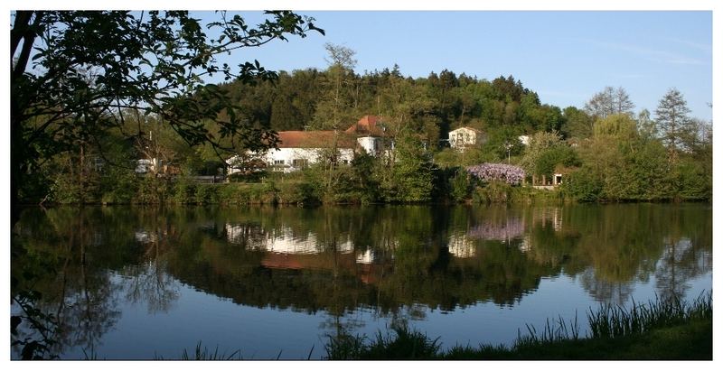 Niederwürzbacher Weiher 02