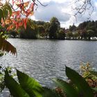 Niederwürzbacher Weiher