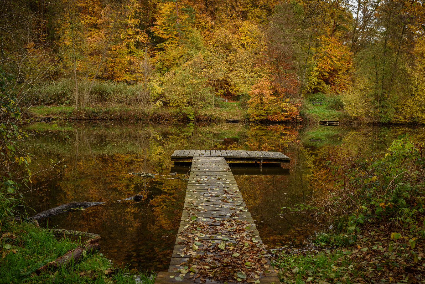 Niederwürzbacher Weiher_Brücke