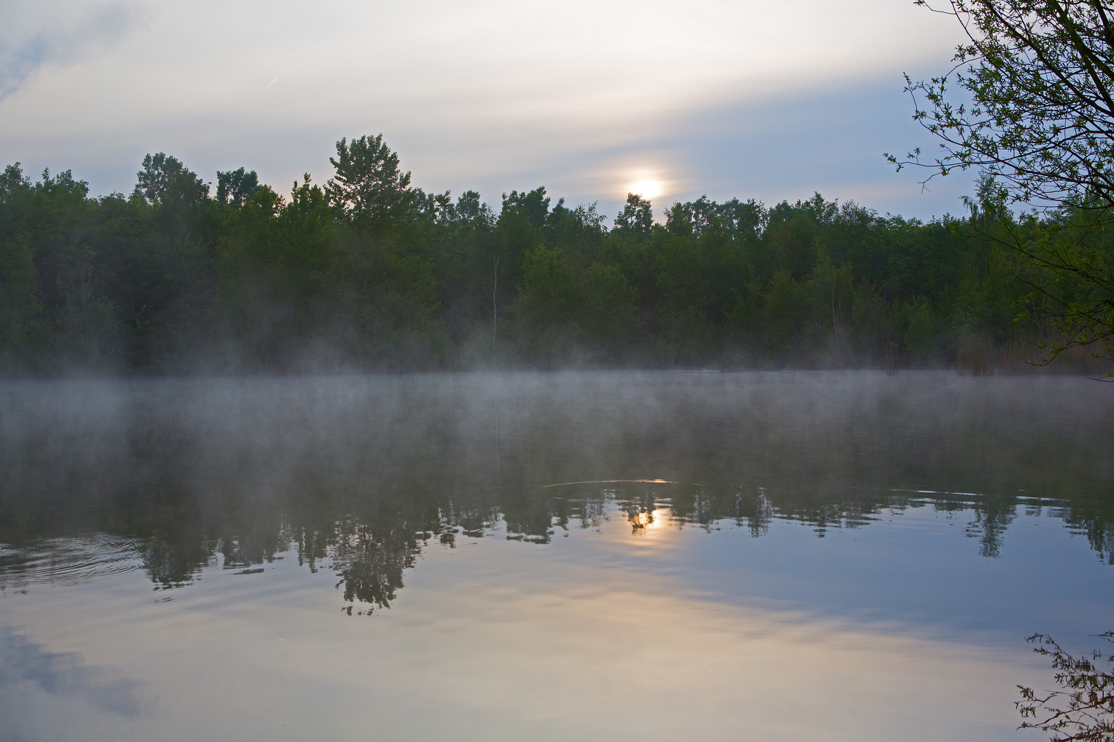 Niederzierer See am frühen Morgen