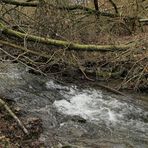 Niedgesbach zwischen Finsternthal und Ruine Landstein 02