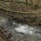 Niedgesbach zwischen Finsternthal und Ruine Landstein 02