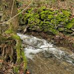 Niedgesbach zwischen Finsternthal und Ruine Landstein 03