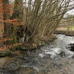 Niedgesbach zwischen Finsternthal und Ruine Landstein 04